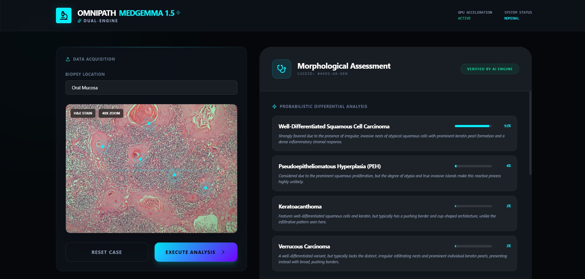 OmniPath AI Interface
